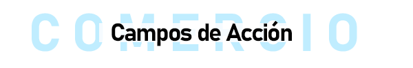 Campos de Acción