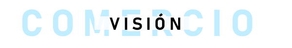 Visión